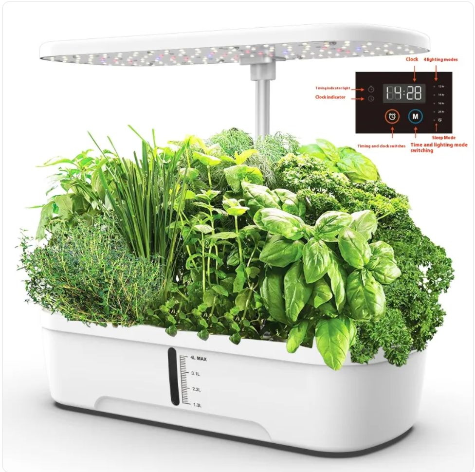 Home & Garden