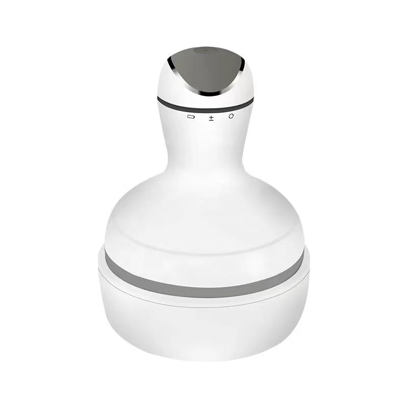 CleverTouch Scalp Massager
