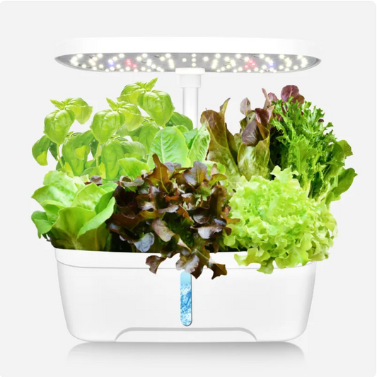 Plant Growth Lamp